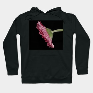 Pink Gerbera Daisy Hoodie